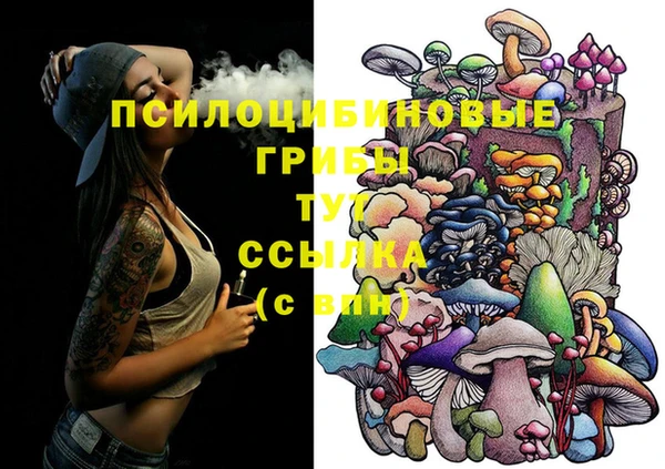экстази Корсаков