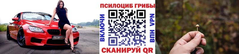 Галлюциногенные грибы прущие грибы  Купить закладки  Кировск 